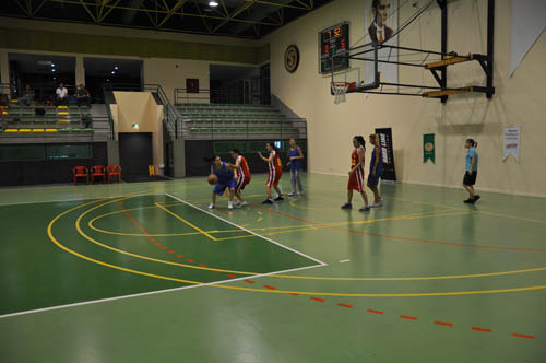 sbbl (82)